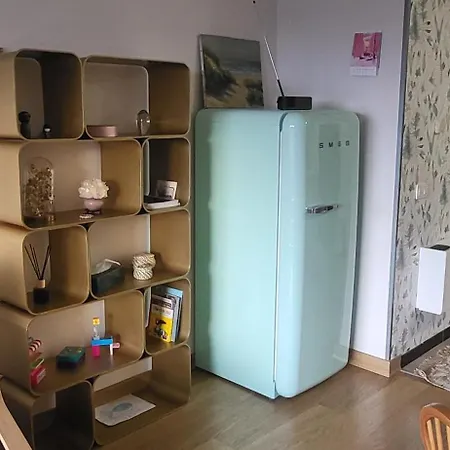 Le Char A Voile Apartament De Panne