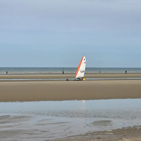 Le Char A Voile * De Panne